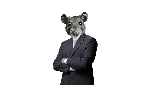Flashmob